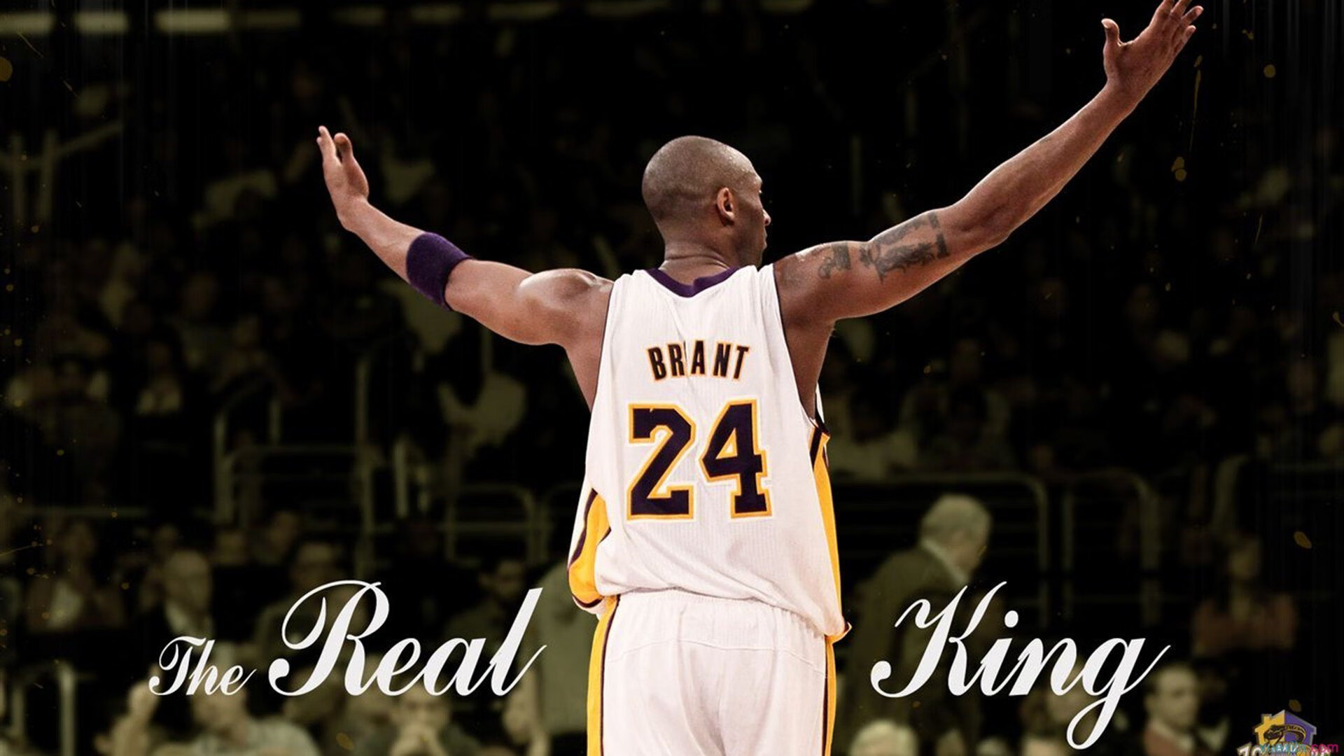 Jiu You-公牛前场篮板提升有效控制比赛节奏，公牛队首发控卫