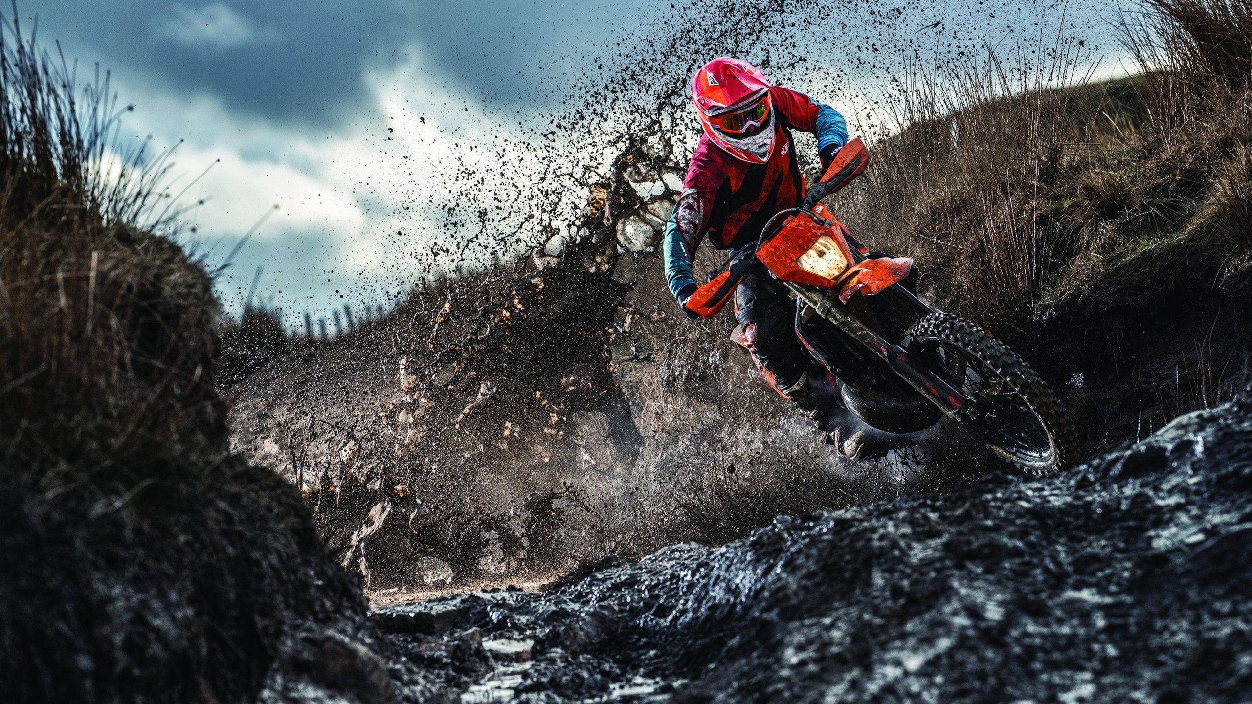 网球比赛引入即时回放系统保障公正，网球比赛现场